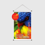 Banner em Lona